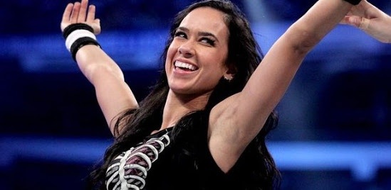 More news on AJ Lee’s retirement 