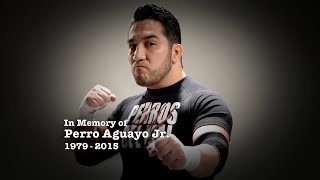 Lucha Underground Pays Tribute To Perro Aguayo Jr.&nbsp;(Video)