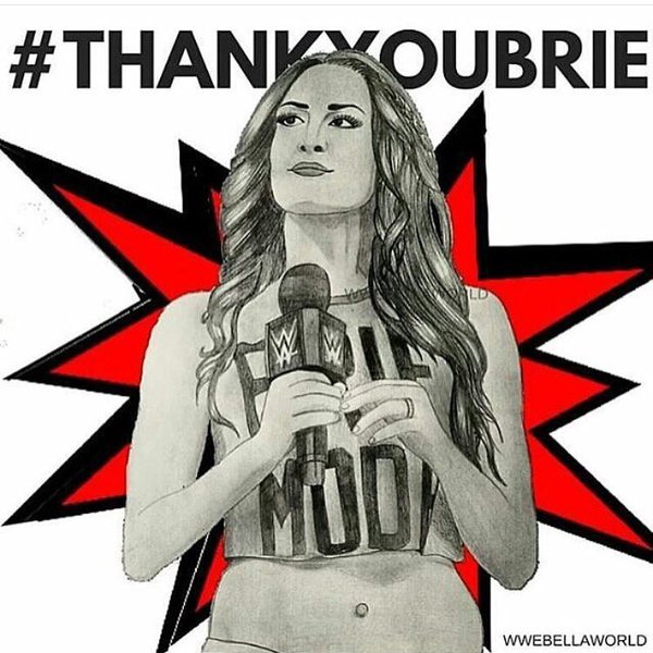 Daniel Bryan Honors His Wife Brie Bella After Her WrestleMania 32 Match, Ready To Start A&nbsp;Family