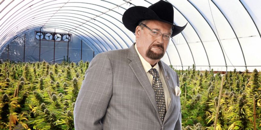 AEW’s Jim Ross Is Planning To Open A Cannabis&nbsp;Farm