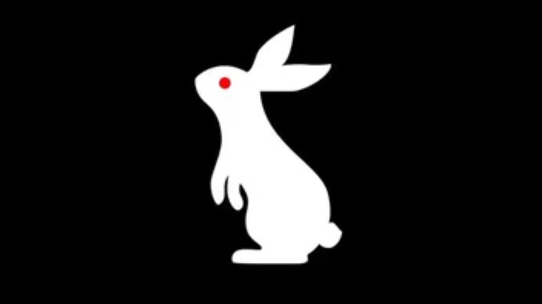 A New White Rabbit QR Code Airs On SmackDown – Wrestling News Blog